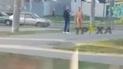 В Харькове голый мужчина нападал на прохожих (видео)