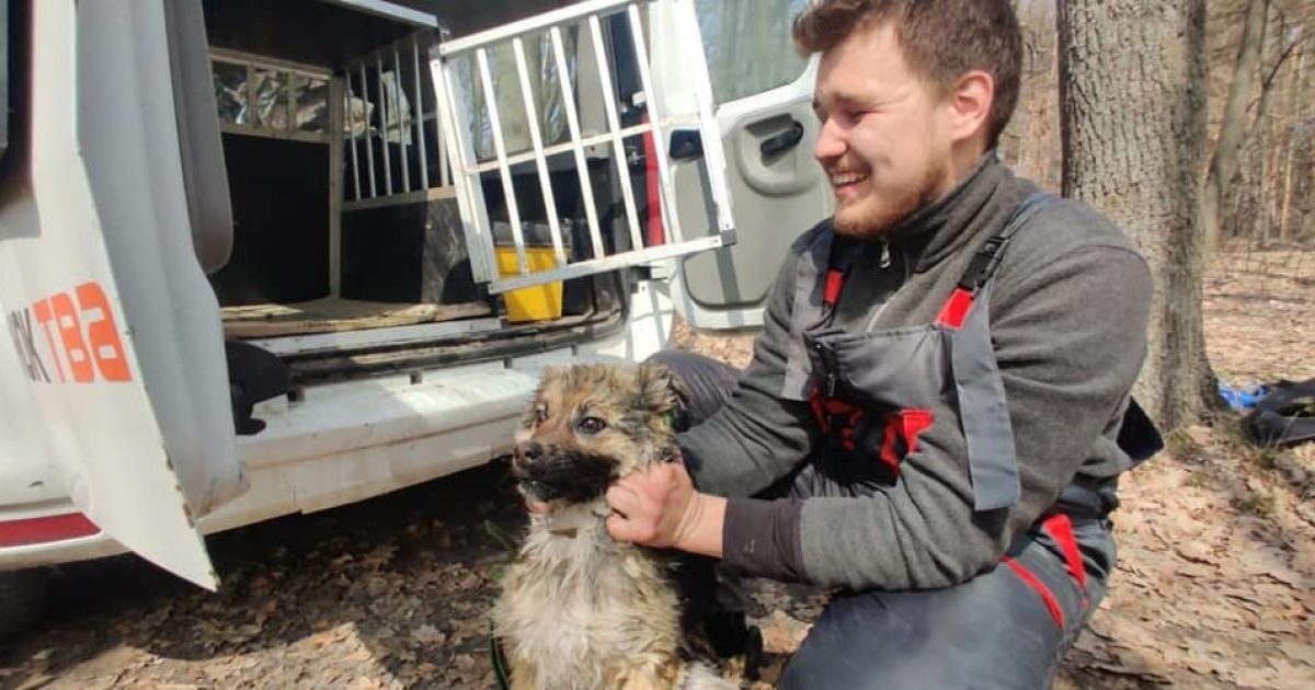 У Харківській області врятували собаку, яка тиждень плавала на крижині