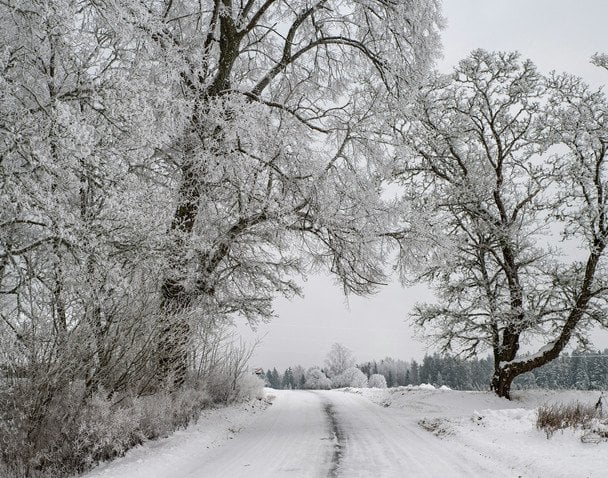 Народні прикмети 5 лютого / © pexels.com