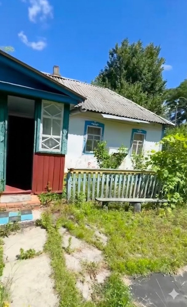 "Задовбуємось страшно": українка купила хату за 5 тисяч доларів і чесно розповіла про переїзд в село