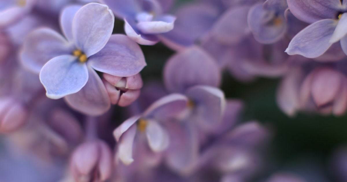 29 апреля - день, приметы и именинники