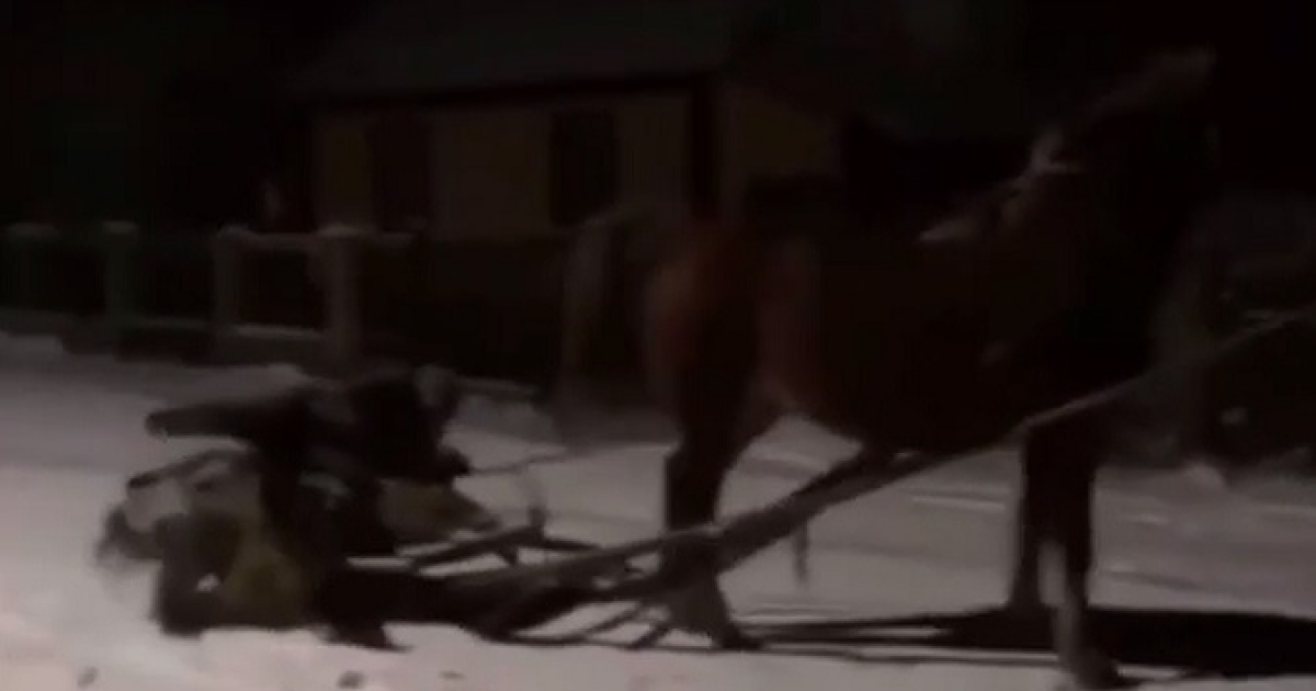 В поселке на Волыни устроили дрифт на конях (видео)