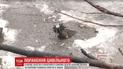 Дружина пораненого в Красногорівці чоловіка: Чим він завинив перед Донецьком?