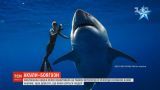 Мост самоубийц, рассекреченные документы об инопланетянах и дружба с акулой: новости онлайн-трансляции