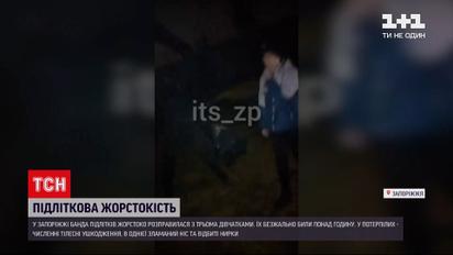 В Запорожской области банда подростков жестоко расправилась с тремя девочками | Новости Украины
