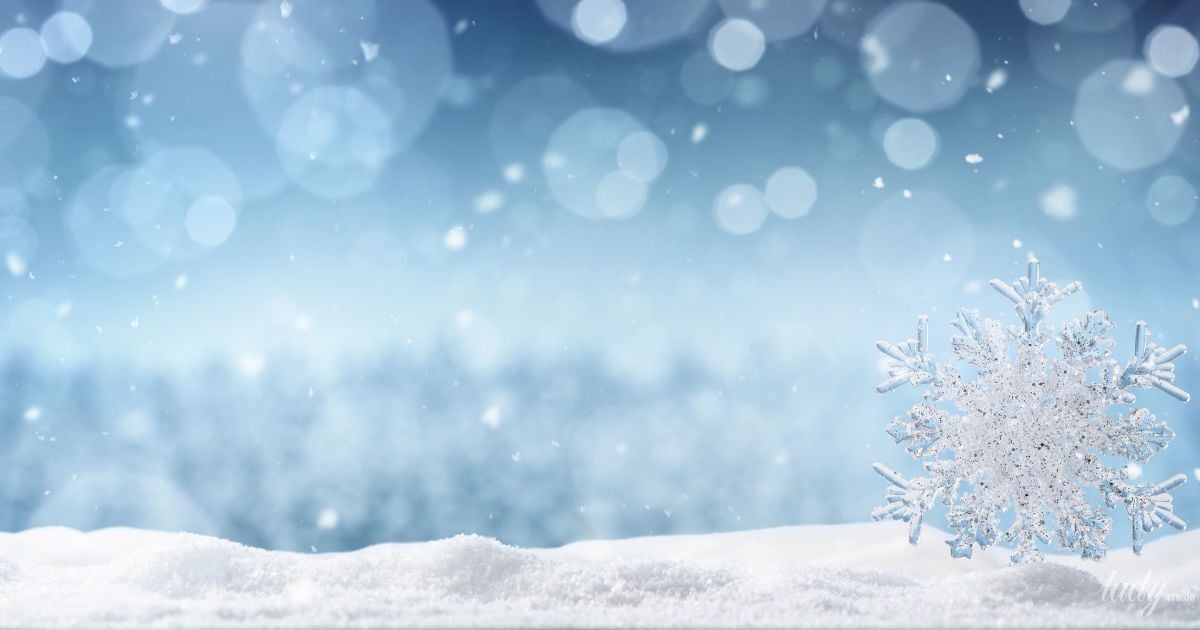 День тишины: гороскоп на 24 декабря