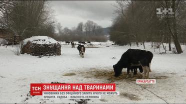 На Прикарпатті односельці звинувачують чоловіка у жорсткому поводженні з тваринами