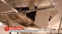 У Харкові в одному з класів школи обвалилась стеля