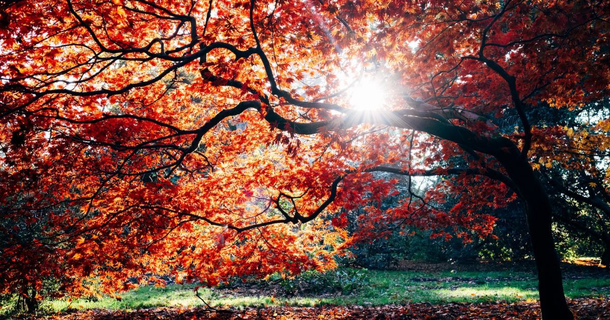 Тест на стресс Фото: unsplash