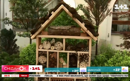 У Львові встановили будиночок для комах: відео
