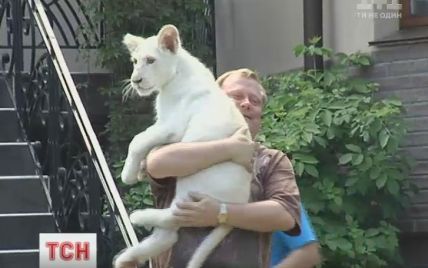 На Київщині у приватному маєтку разом з собакою росте біле левеня