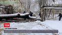 Одесская область в снежном плену: более 100 населенных пунктов остались без электроэнергии