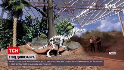 Новини світу: китайські археологи знайшли шматок хребта динозавра