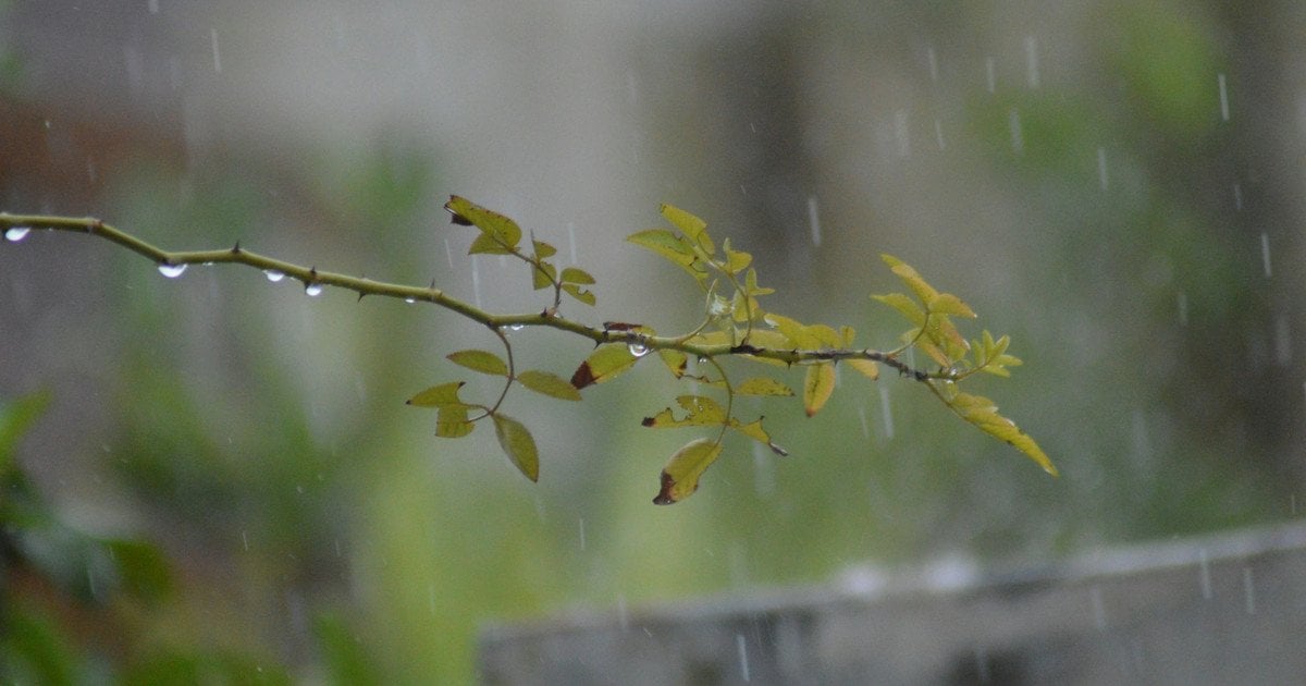 Погода в Україні