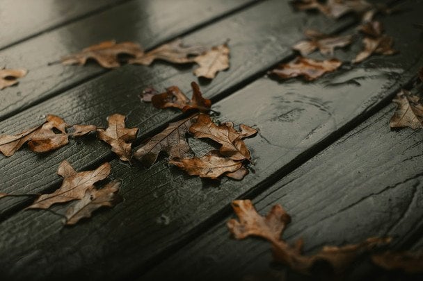 7 листопада дощить — в грудні буде багато відлиг / © unsplash.com