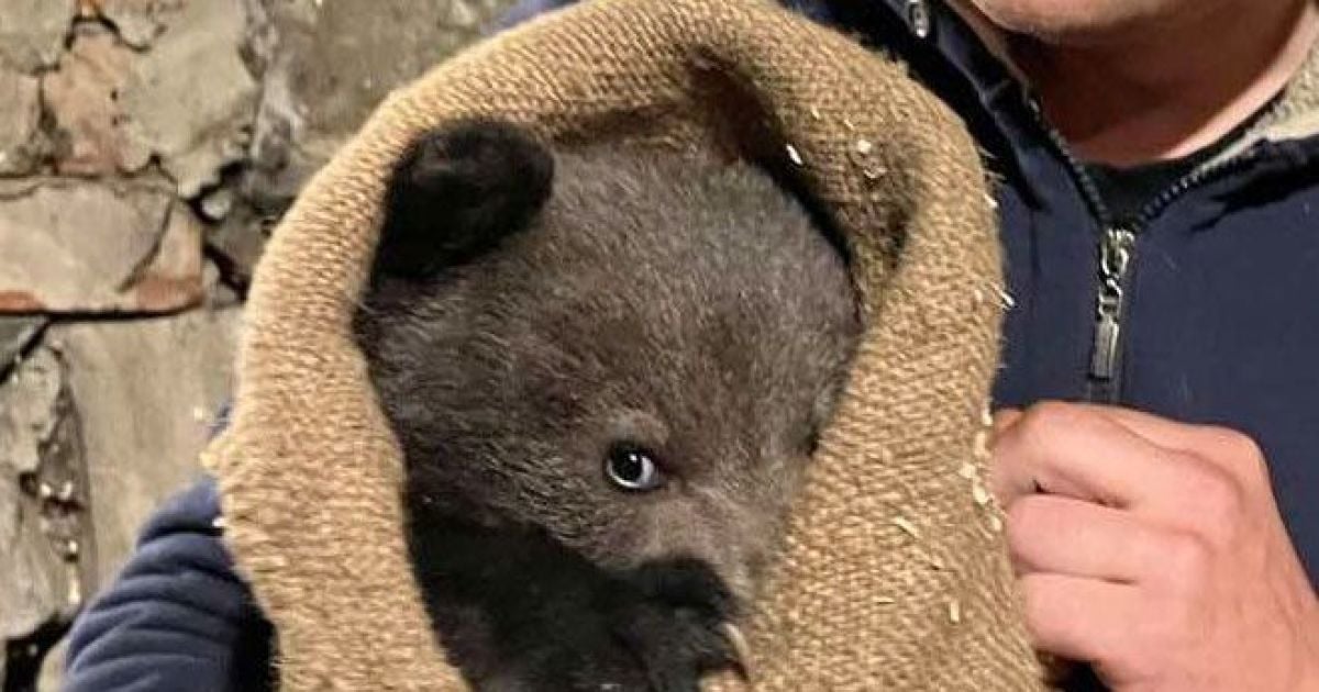 Фото: Ужанский национальный природный парк