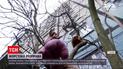 Мужчина в Днепре выбросил девушку с балкона восьмого этажа