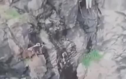 Сообразительность австралийца спасла жизнь другу, что сорвался с 20-метровой скалы