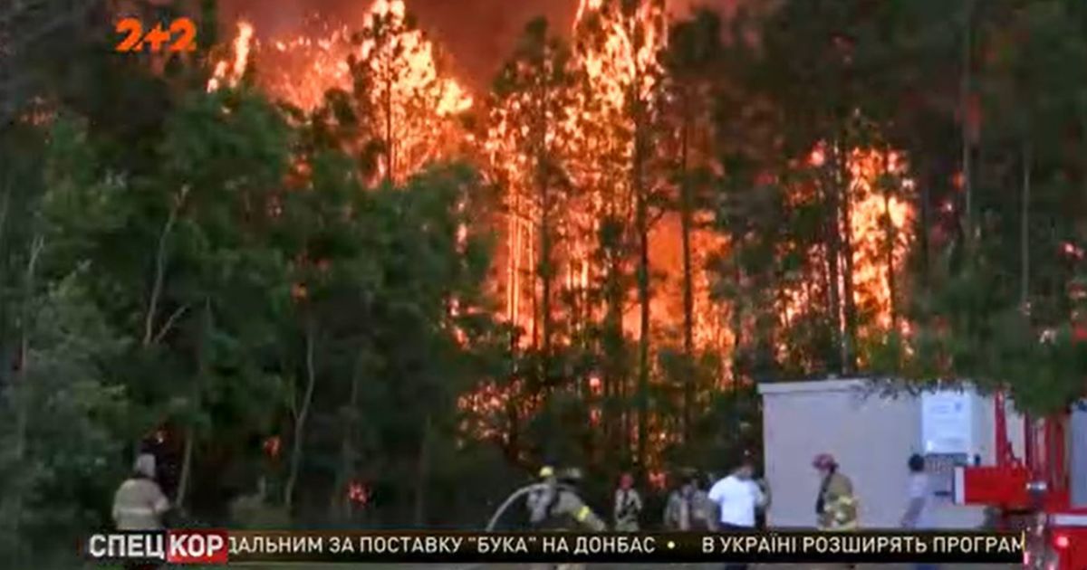 В США вспыхнули лесные пожары: людей призывают бежать из опасного региона