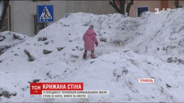 У середмісті Тернополя парк загородили сніговими териконами