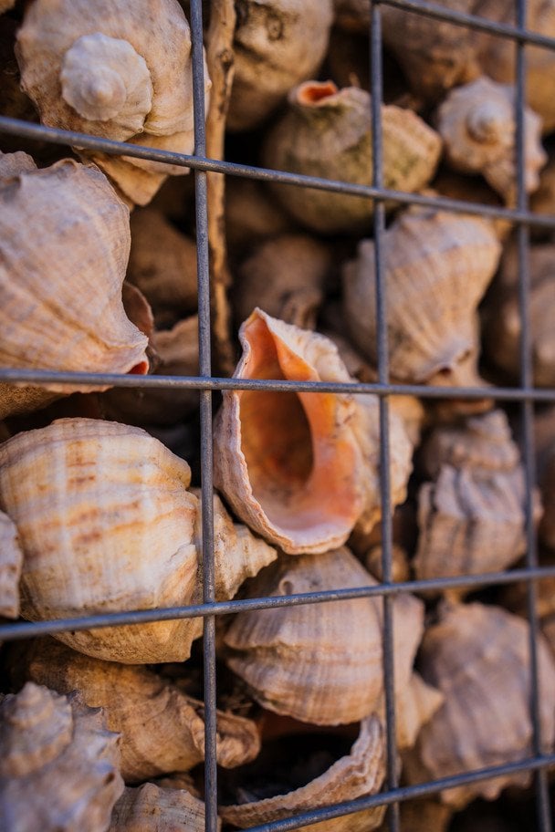 «Перший лабіринт із мушель рапанів». Фото: Лана Вєтрова.  / © Facebook