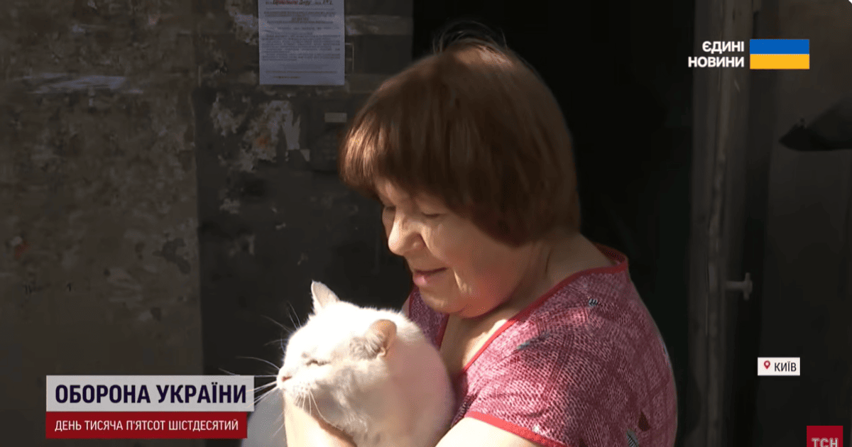 Пані Ганна врятувала кота