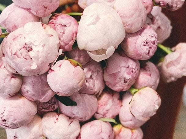 День ангела 15 квітня — душевні привітання в прозі / © pexels.com