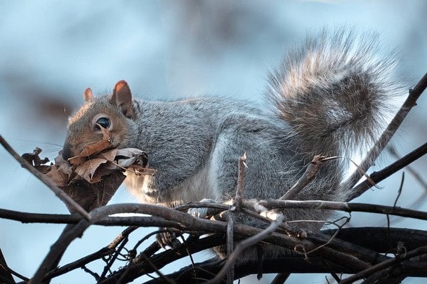Народні прикмети 4 січня / © pexels.com