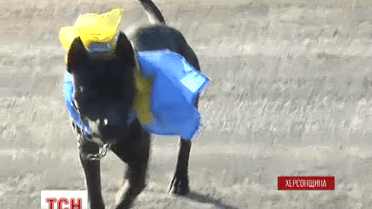 К участникам блокады оккупированного полуострова присоединился пес Ричард