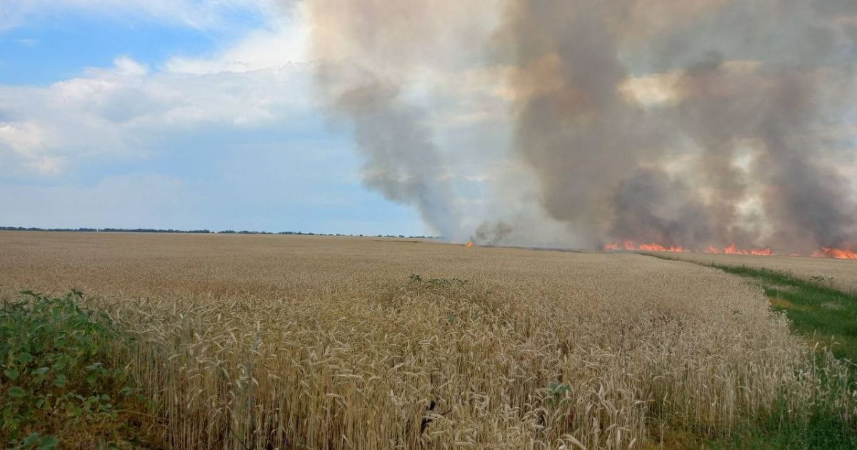 На Харківщині від обстрілів РФ горіли поле пшениці й житлові будинки: подробиці (фото)