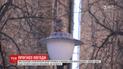Атмосферний фронт принесе в Україну нічне похолодання