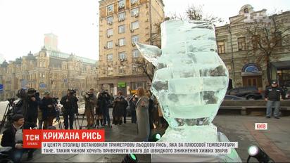 В центре столицы установили 3-метровую ледяную рысь, которая при плюсовой температуре тает