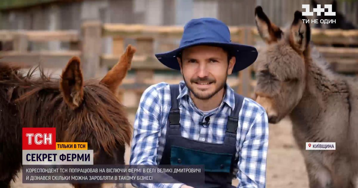 Спецпроєкт "Секрет ферми": на чому заробляють власники єдиної в Україні віслючої ферми