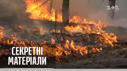 Пожежі, посухи, повені: від яких катаклізмів постраждав весь світ 2020-го – "Секретні матеріали"