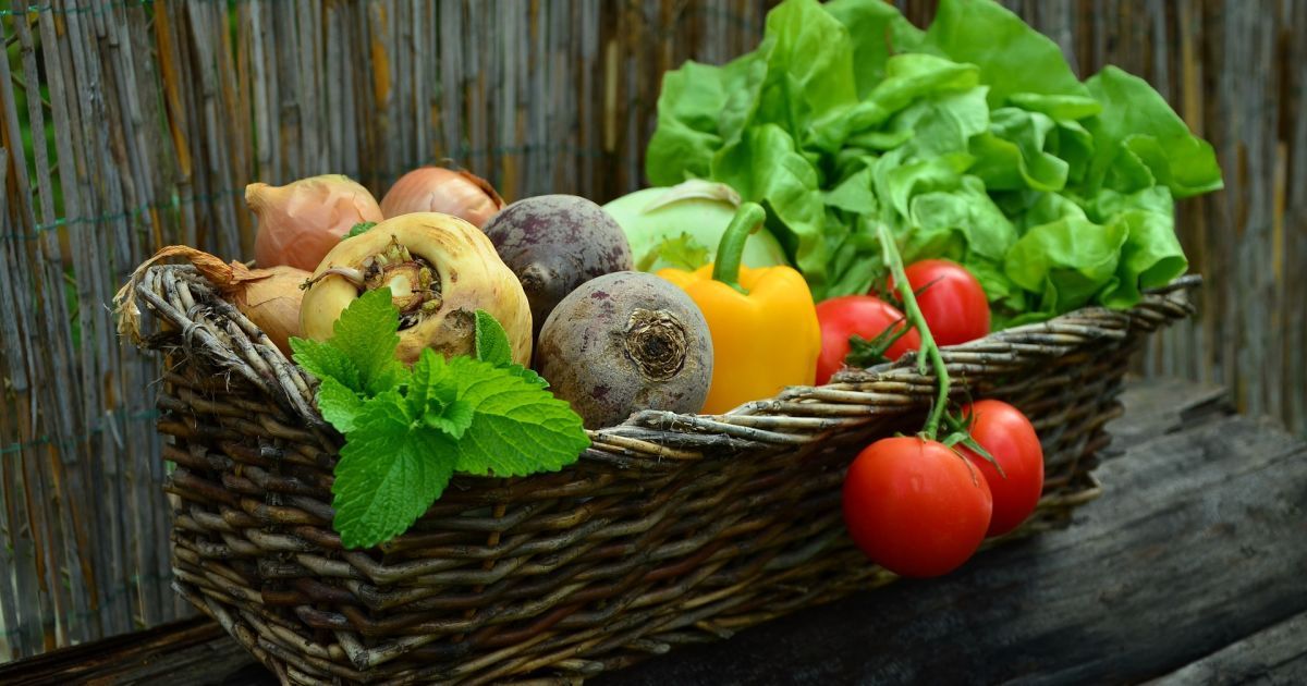 Вместо рынков: для фермеров разработали сайт для продажи их продуктов