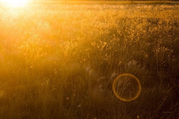 23 вересня День осіннього рівнодення / © pexels.com