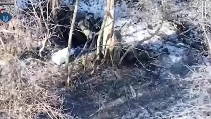 Бійці ССО показали ефектний бій з північнокорейськими солдатами на Курщині