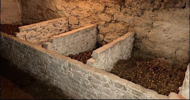 Крім того, у неоготичній будівлі зберігають картоплю.  / © Суспільне