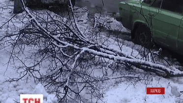 В регионах Украины ликвидируют последствия непогоды