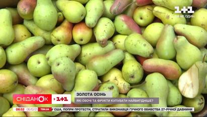 Золота осінь: які овочі та фрукти купувати найвигідніше