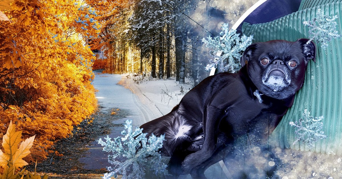 Погода в Україні на листопад