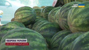 Арбузы дешевеют, но безопасны ли они? ТСН проверила сладкую ягоду