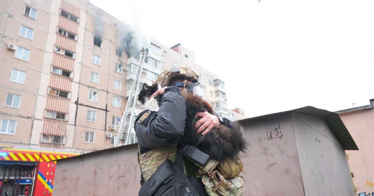 Запоріжжя 17 грудня