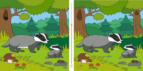 Це захоплива гра, яка допоможе вам потренувати та відточити свої навички спостереження — і вона цікава для всіх вікових груп. Тож не гайте більше часу — прийміть виклик зараз! / © Фото з відкритих джерел