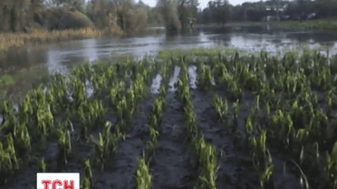 Из-за урагана и ливня, прокатившихся по Украине, обесточенными остаются 127 населенных пунктов