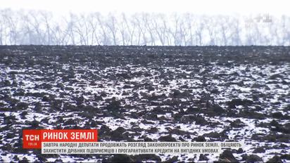 Закон про землю: депутати обіцяють захистити дрібних підприємців