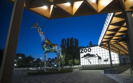 В Киеве после реконструкции открывают зоопарк