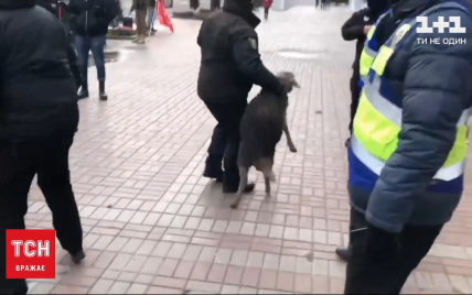 Під КМДА поліція "заарештувала" баранів, яких привезли протестувальники