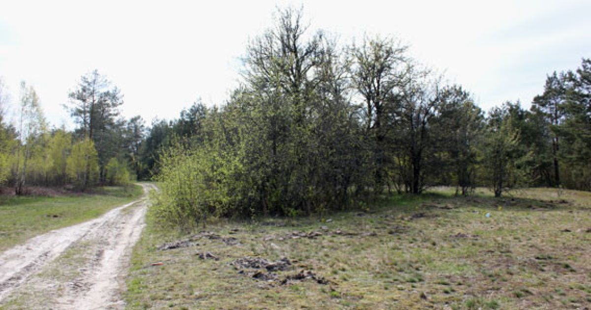 вбивство на рівненщинні_3 / © ГУ НП у Рівненській області