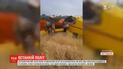 Легкомоторний літак розбився на Полтавщині